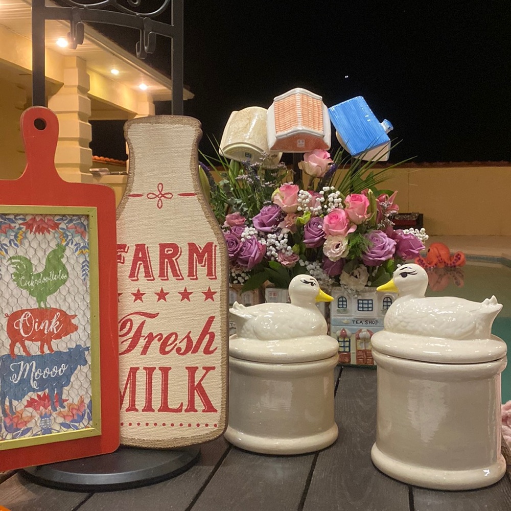 Vintage duck 🦆 canastera bundle